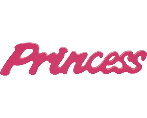 Schriftzug Princess pink 20x22 cm
