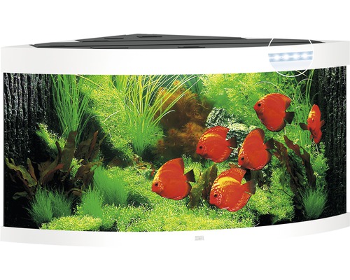 Aquarium Juwel Trigon 350 LED sans meuble bas blanc
