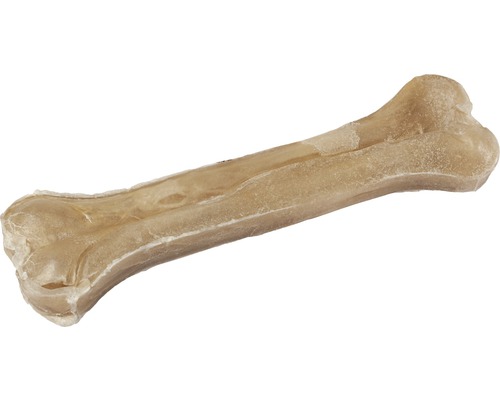 Hundeknochen zum Kauen