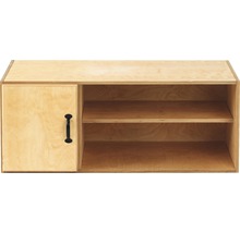 Étagère en bois avec porte et étagères