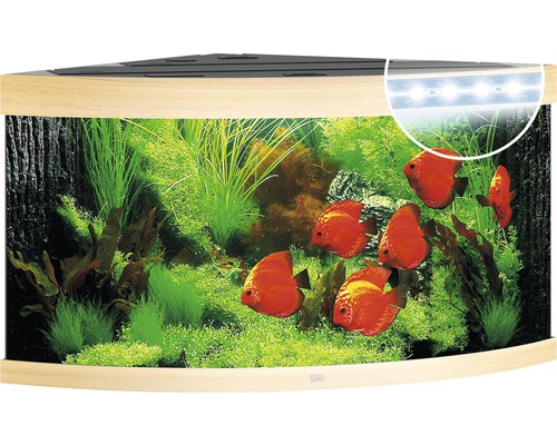 Aquarium Juwel Trigon 350 LED ohne Unterschrank helles Holz