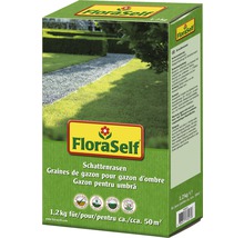 Rasensamen FloraSelf Schattenrasen 1,2 kg 50 m²