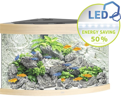 Eckaquarium mit Fischen, Pflanzen, Steinen und LED Beleuchtung