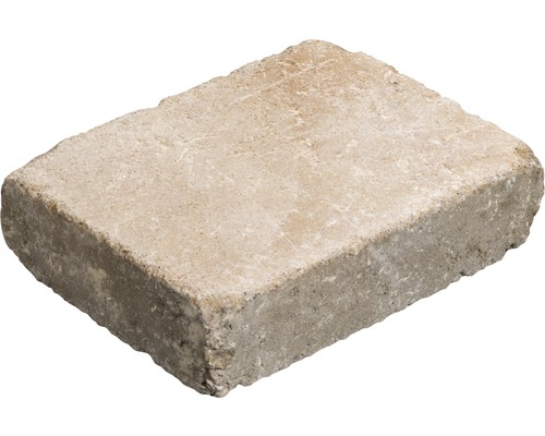 Einzelner Pflasterstein