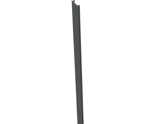 Baguette de finition GroJa Flex, Lumino 100 cm anthracite