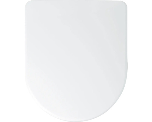 Abattant de WC en plastique