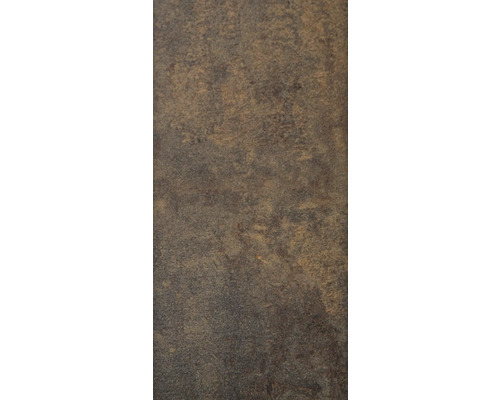 Élément de clôture GroJa Belfort 90 x 180 cm aspect rouille