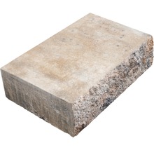 Bloc de marche en béton iStep Passion calcaire coquillier 50x34.5x15 cm-thumb-0
