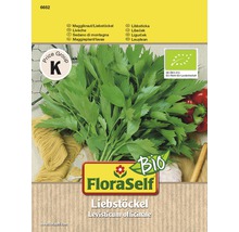 FloraSelf Liebstöckel Samenpackung