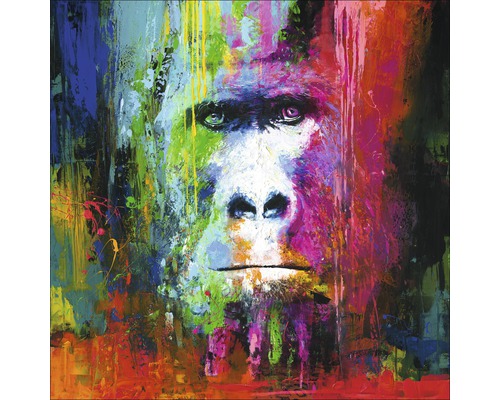 Tableau sur toile Original Colourful Gorilla 100x100 cm