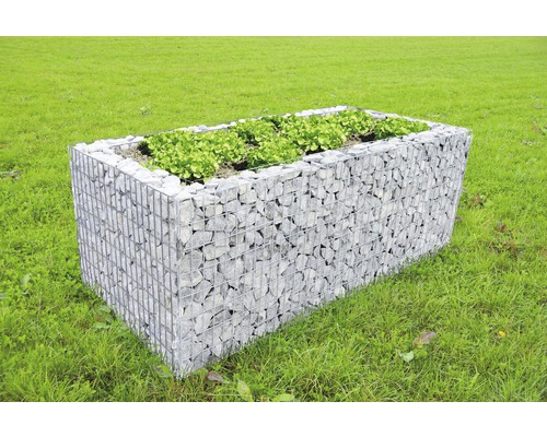 Jardinière surélevée en gabions 200 x 100 x 80 cm Jardinière surélevée en gabion avec des plantes dans le jardin
