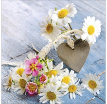 Dekorative Margeriten und Herz auf Holzgrund