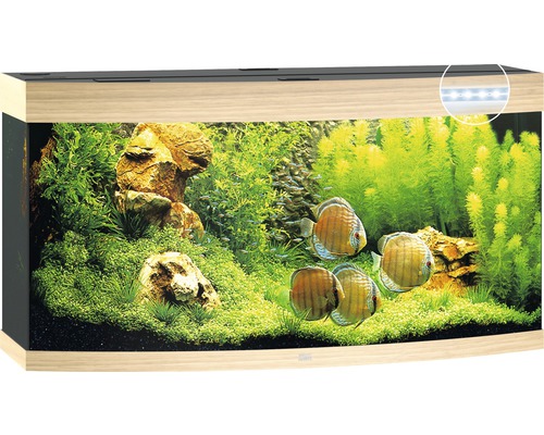Aquarium Juwel Vision 260 LED ohne Unterschrank helles Holz