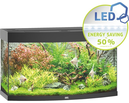 Aquarium mit Fischen und Pflanzen