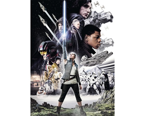 Papier peint panoramique papier 4-496 Disney Edition 4 Star Wars Balance 4 pces 184 x 254 cm