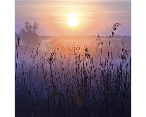Glasbild Morning Atmosphere 20x20 cm
