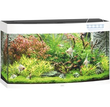 Aquarium Juwel Vision 180 LED avec éclairage,chauffage et filtre sans sous-meuble blanc
