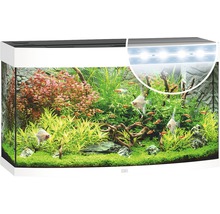 Aquarium Juwel Vision 180 LED avec éclairage,chauffage et filtre sans sous-meuble blanc