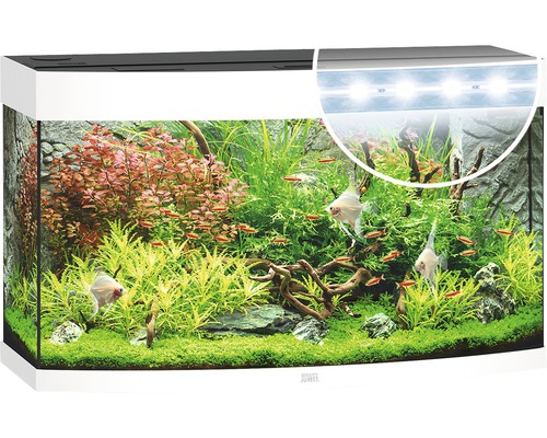 Dekoratives Aquarium mit Fischen, Pflanzen und Beleuchtung