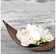 Dekoschale mit weißen Orchideenblüten