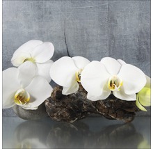 Dekoration mit weißen Orchideen auf Treibholz