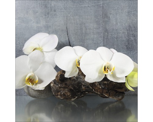 Photo sous verre White Orchid II, 20x20 cm