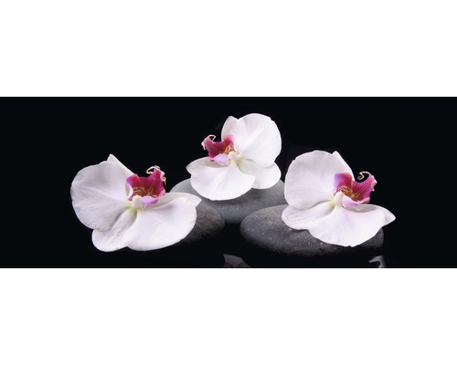 Glasbild White Orchid IV 30x80 cm