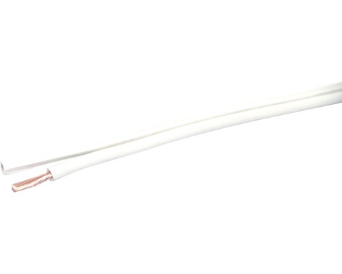 Câble de haut-parleur