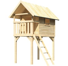 Cabane en bois avec échelle