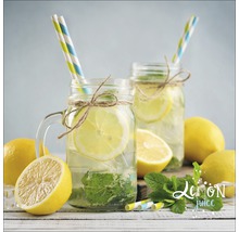 Zwei Gläser Zitronensaft mit Strohhalmen, Zitronenscheiben und Minze