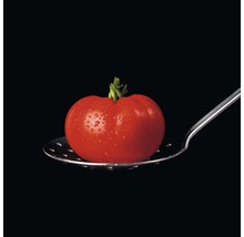 Tomate auf einem Küchenschöpfer