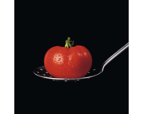 Photo sous verre Tomato On Black, 50x50 cm cm