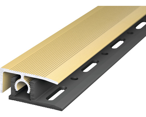 Abschlussprofil PROFI-TEC MASTER Alu gold 28x900mm