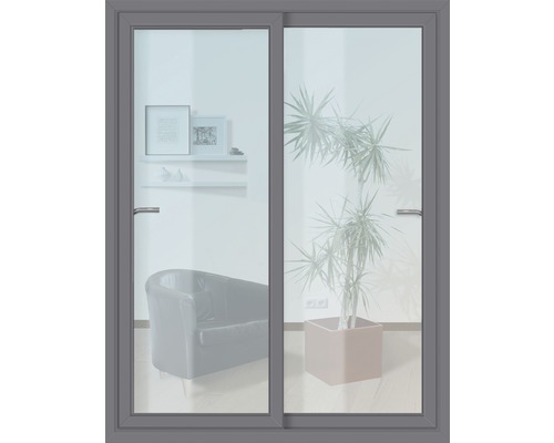 Porte coulissante plastique anthracite avec verre de sécurité trempé (ESG) 1800x2000 mm