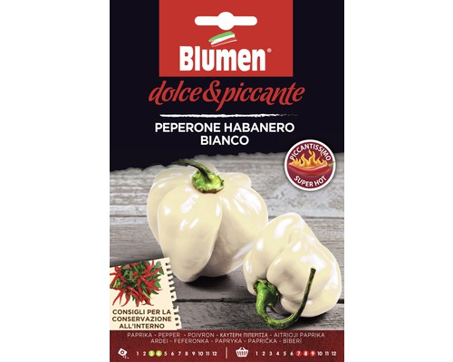 Peperoni Habanero White Gemüsesamen Samen Mauser