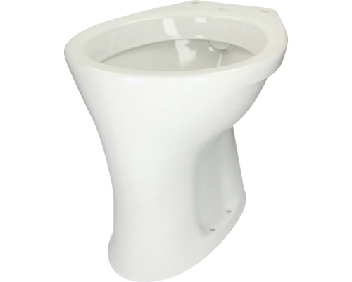 Ideal Standard Eurovit WC fixe blanc conduite verticale à l'intérieur V313101