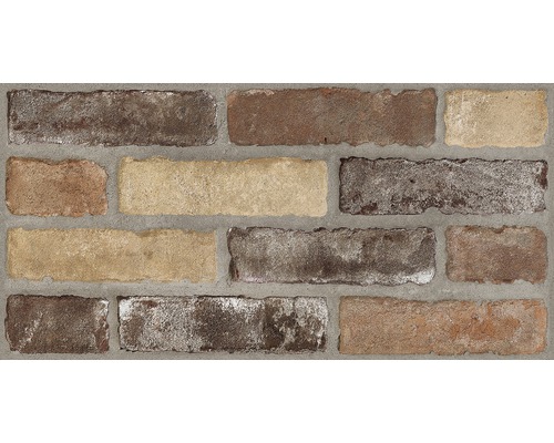 Wandfliese Brick mix 31x62 cm