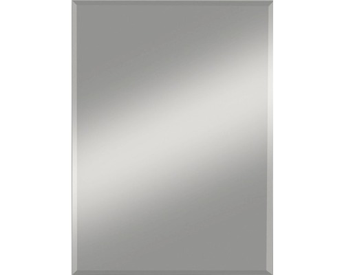 Badspiegel 55x70 cm mit Facette