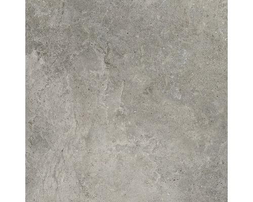 Carrelage de sol Quarry Cloud gris 60x60 cm