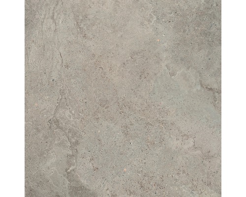 Carrelage de sol Quarry Tundra gris 60x60 cm