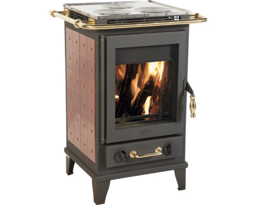 Poêle à bois avec plaque de cuisson