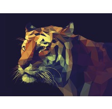 Keilrahmenbild Colourful Tiger 90x120 cm