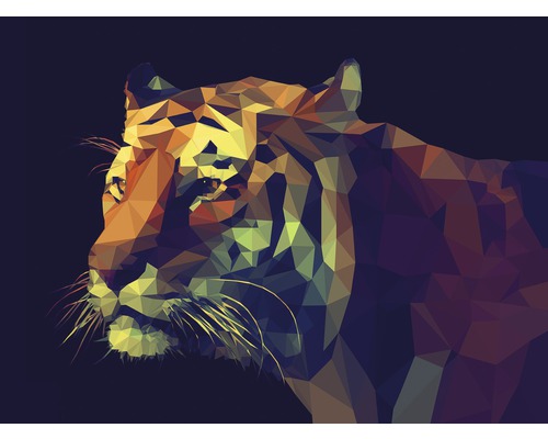 Keilrahmenbild Colourful Tiger 90x120 cm