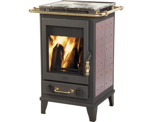 Poêle à bois avec plaque de cuisson et feu de bois