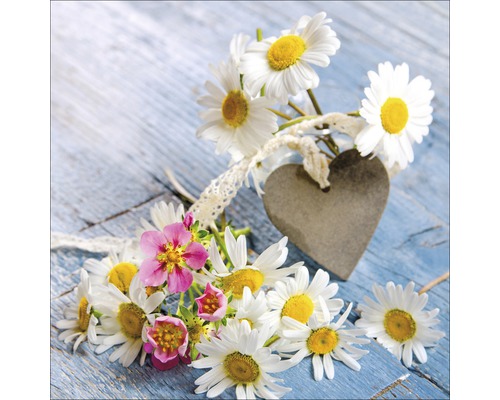 Photo sous verre Marguerite II 30x30 cm