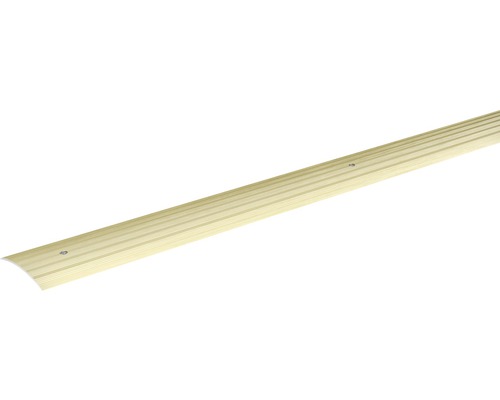 Profilé d’adaptation Skandor champagne anodisé perforé 4,5x40x900 mm Profilé de transition métallique avec vis