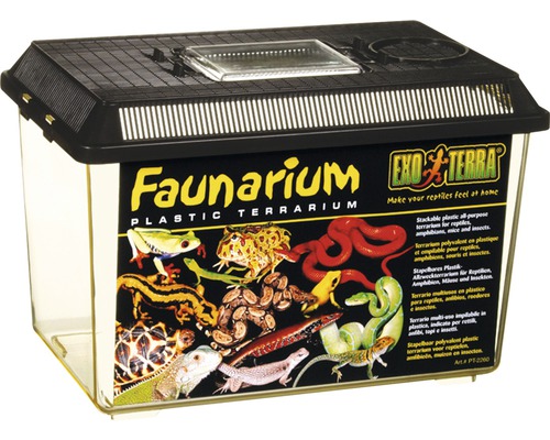 Faunarium en plastique pour reptiles, amphibiens, souris et insectes
