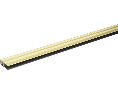 Profilé de finition Skandor champagne anodisé avec rail à clipser 10x28x900 mm