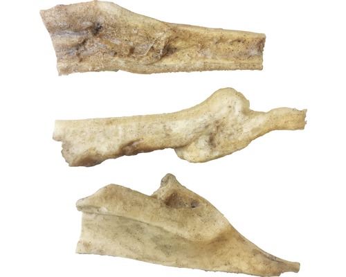 Trois os pour chiens comme friandises à mâcher