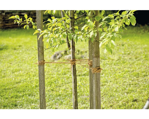 Ficelle de jardin en jute FloraSelf 250 m